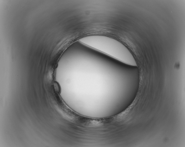 X0000089660166200706210738