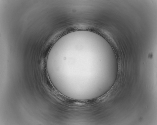 X0000089660167200706210738