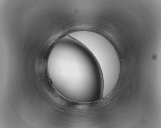 X0000089660168200706210738