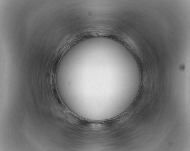 X0000089660169200706210738