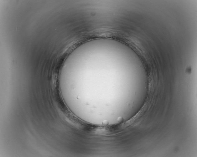 X0000089660171200706210738
