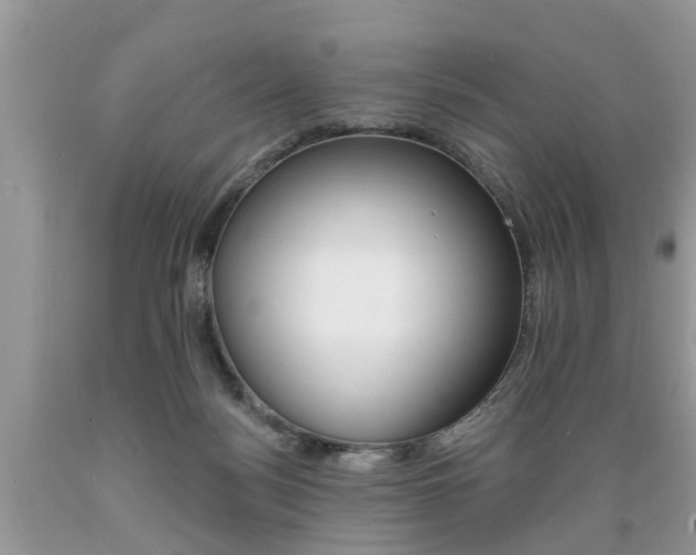 X0000089660172200706210738
