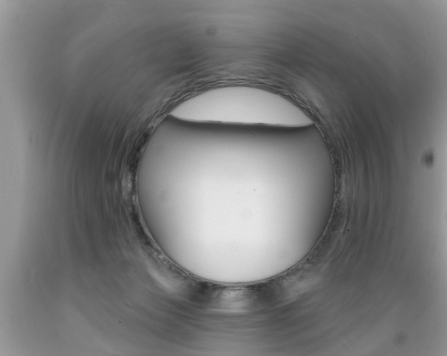 X0000089660173200706210738