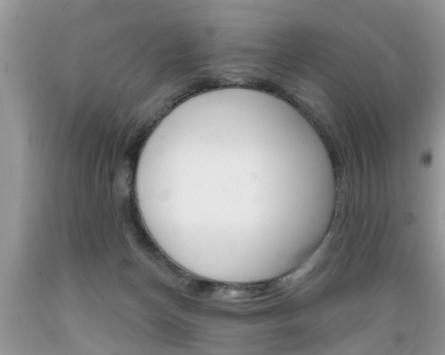X0000089660174200706210738