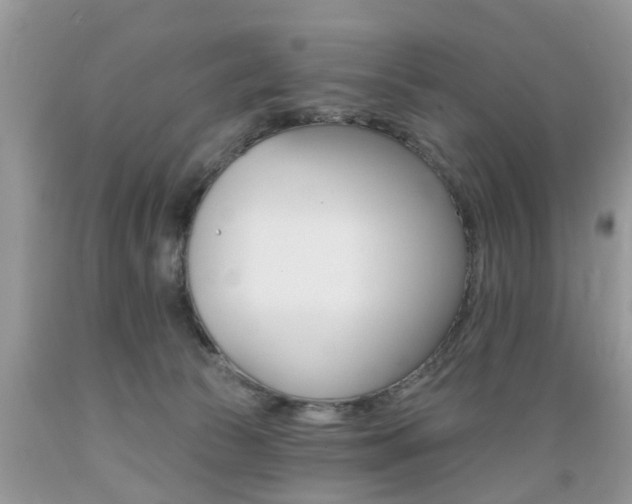 X0000089660177200706210738