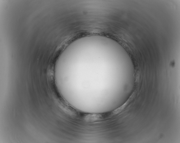 X0000089660179200706210738