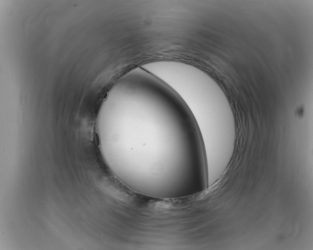 X0000089660180200706210738