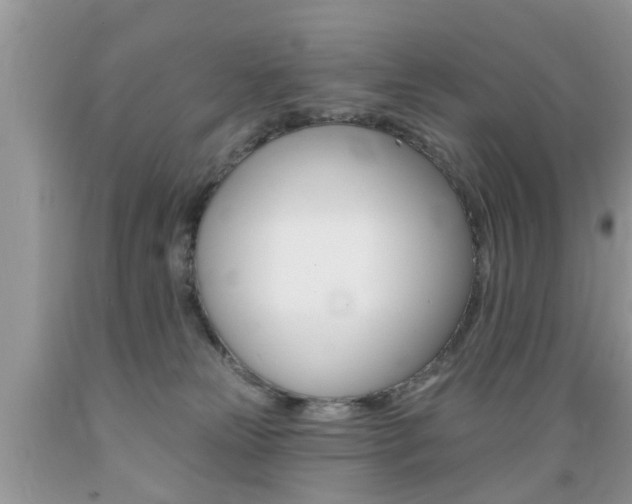 X0000089660181200706210738