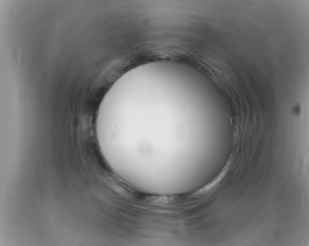 X0000089660182200706210738