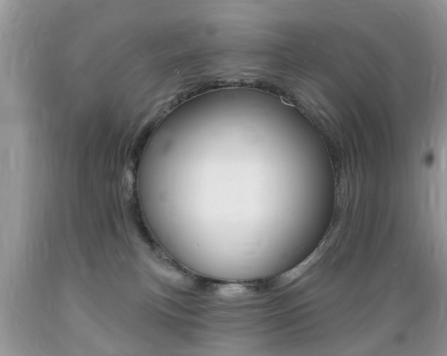 X0000089660183200706210738