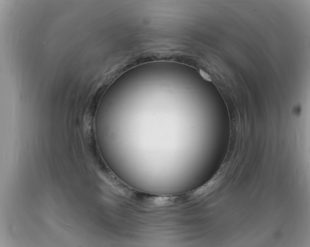 X0000089660184200706210738