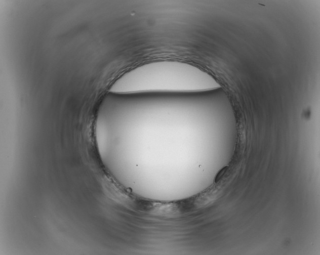 X0000089660185200706210738