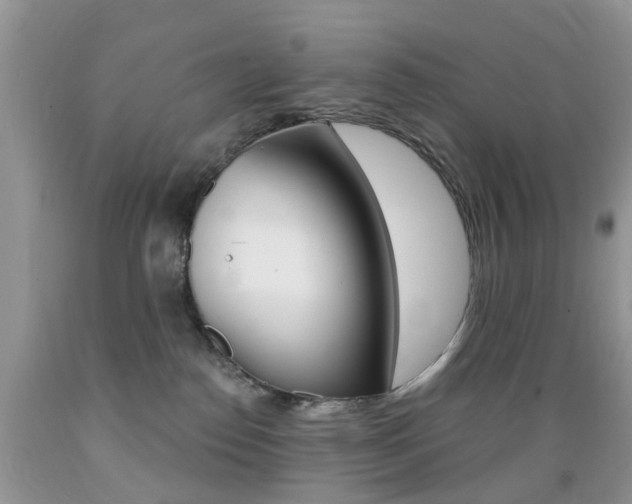 X0000089660186200706210738