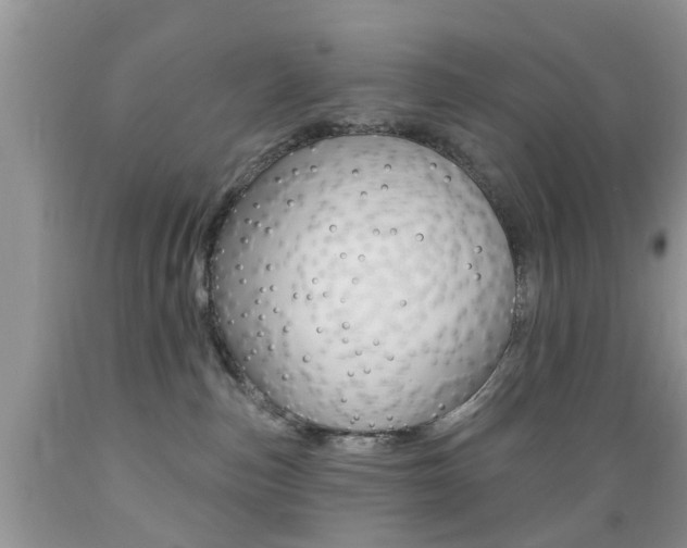 X0000089660187200706210738