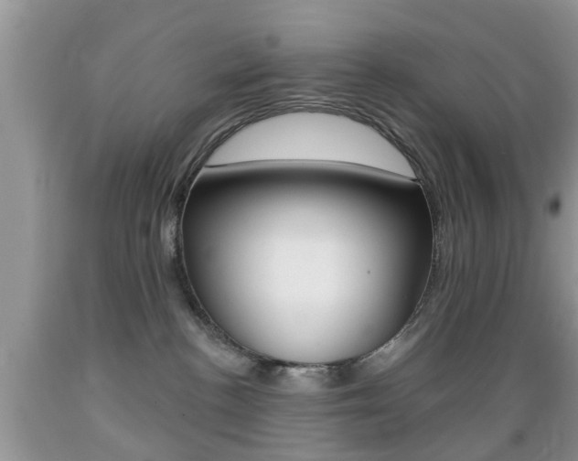 X0000089660188200706210738