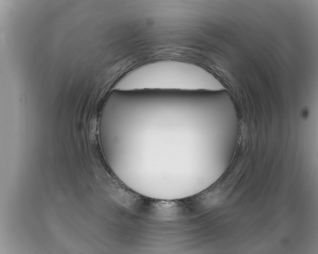 X0000089660189200706210738