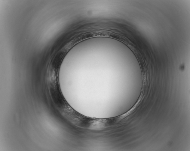 X0000089660191200706210738