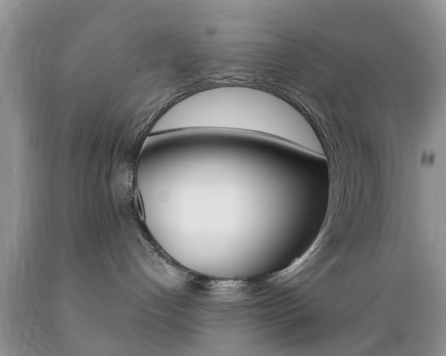 X0000089660192200706210738