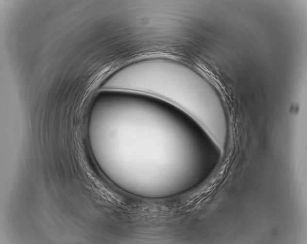 X0000089660193200706210738