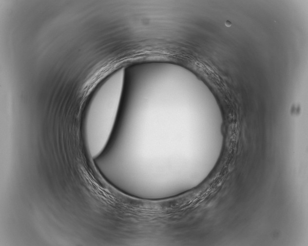 X0000089660194200706210738