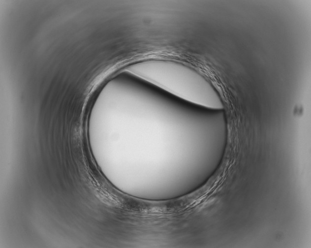 X0000089660196200706210738