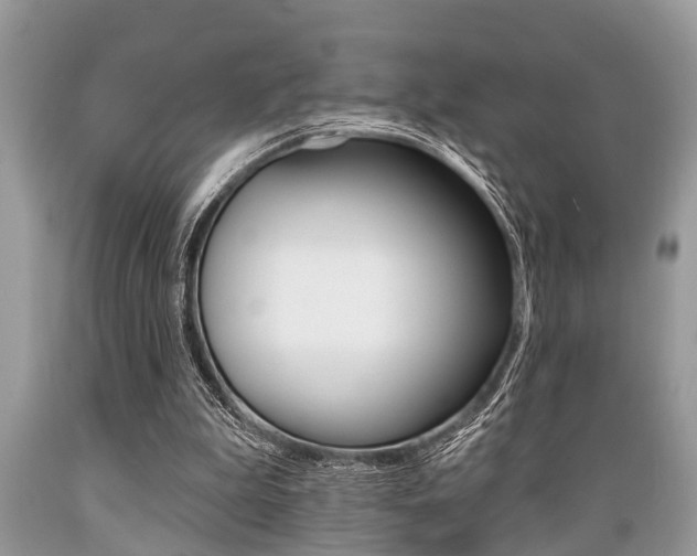 X0000089660199200706210738