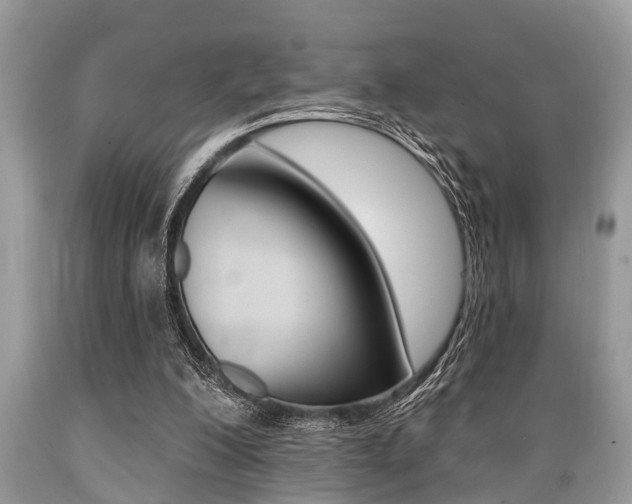 X0000089660200200706210738