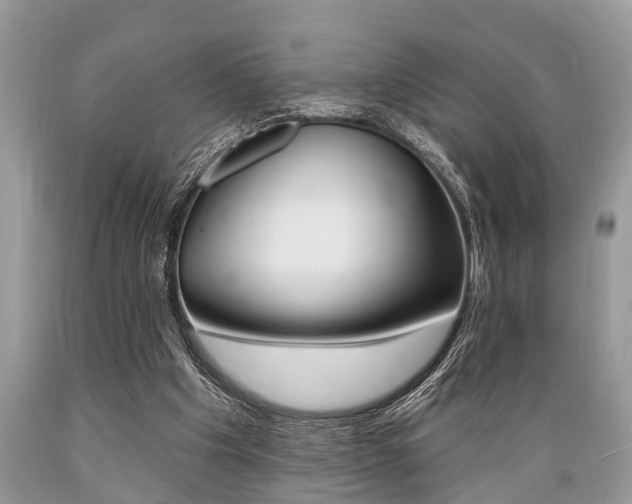 X0000089660201200706210738