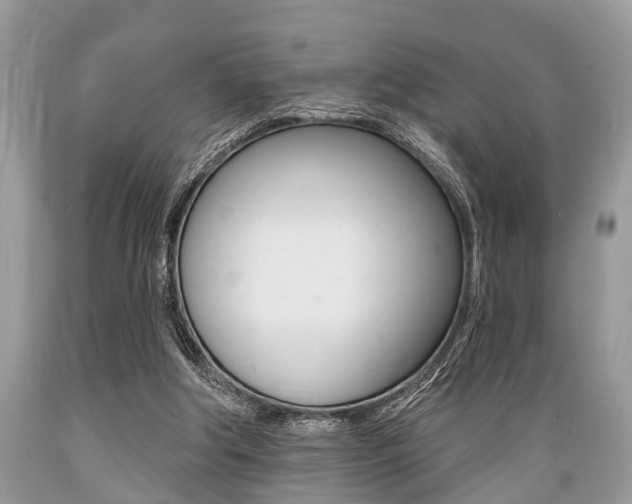X0000089660202200706210738