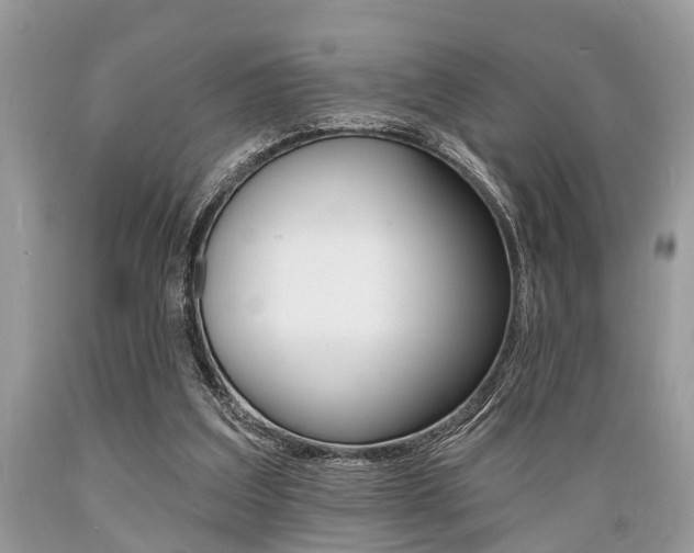 X0000089660203200706210738
