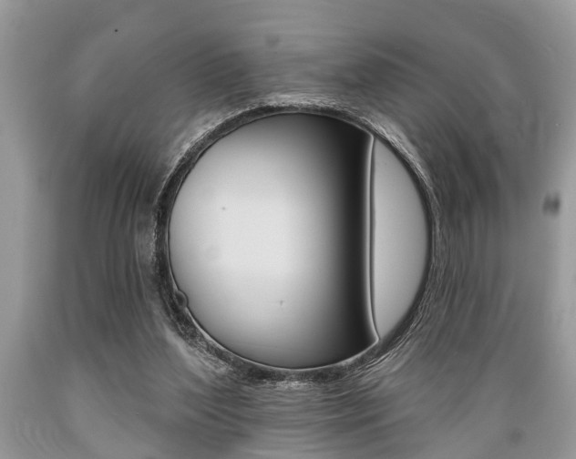X0000089660204200706210738