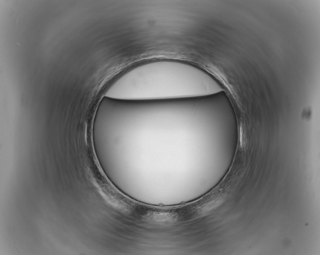 X0000089660205200706210738