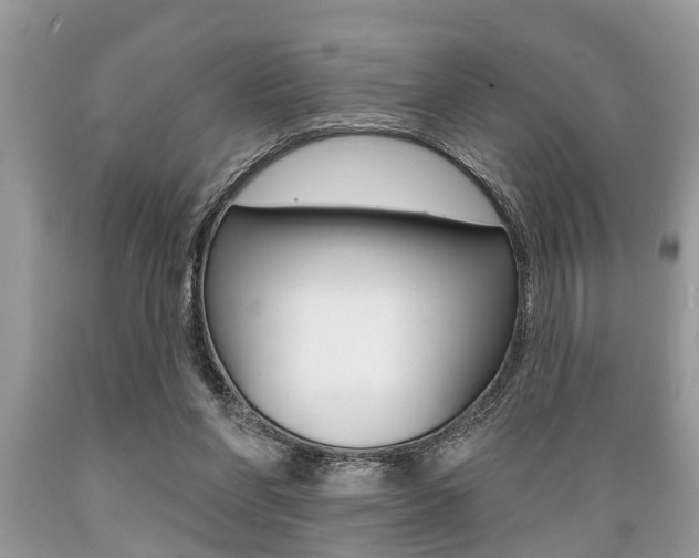 X0000089660206200706210738