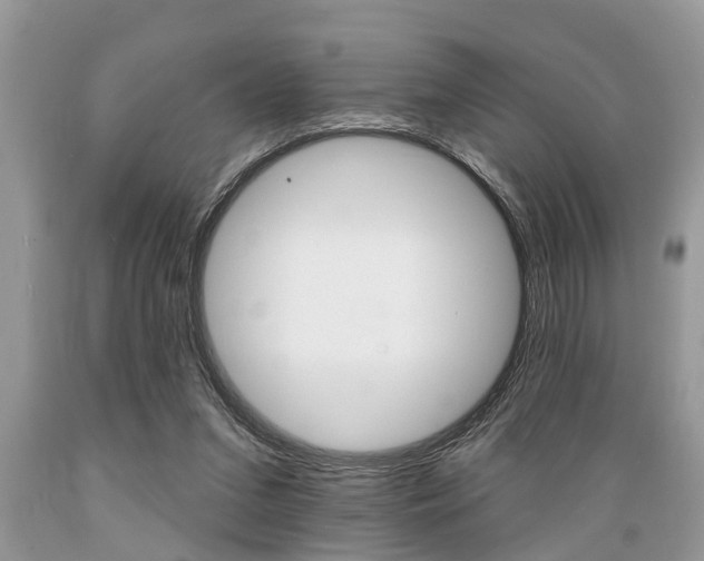X0000089660207200706210738