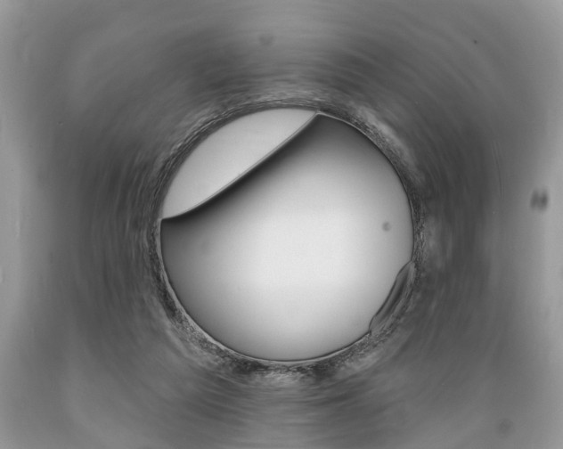 X0000089660209200706210737
