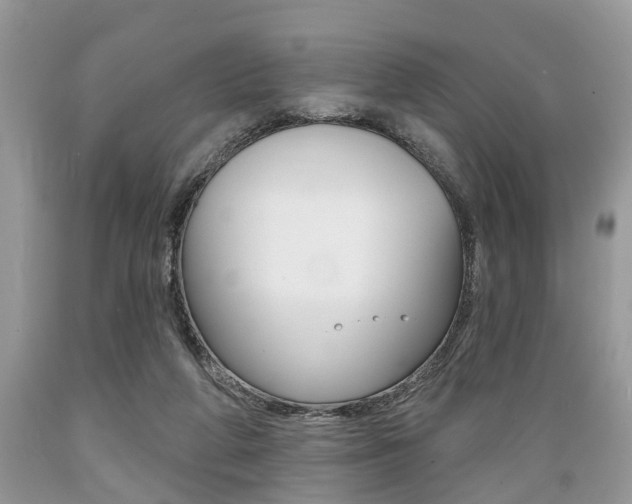 X0000089660210200706210737