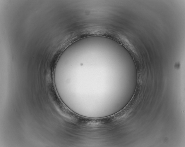 X0000089660213200706210737
