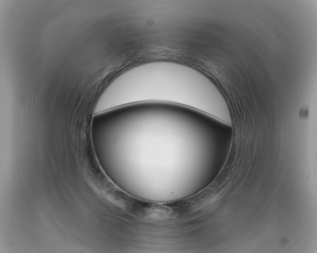 X0000089660215200706210737