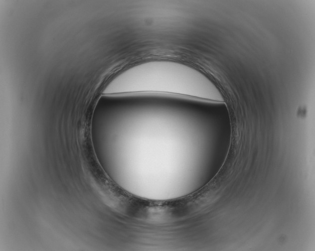 X0000089660216200706210737