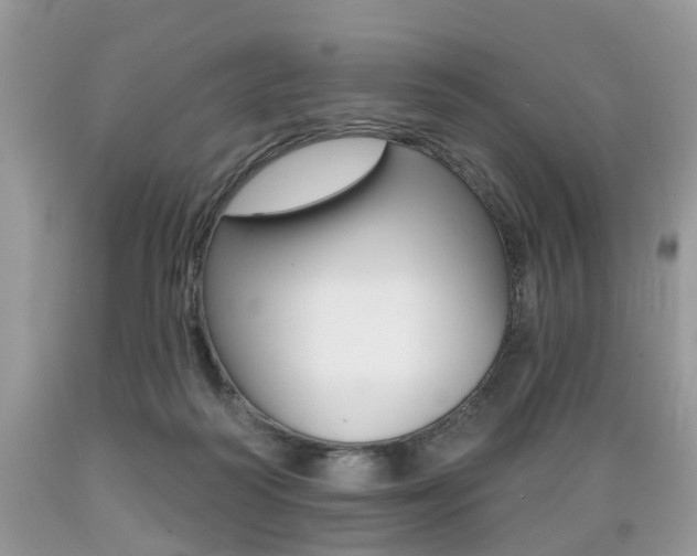 X0000089660218200706210737