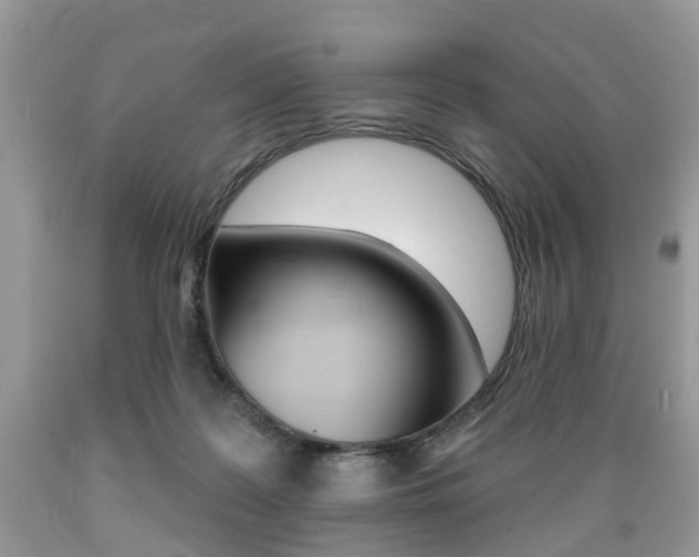 X0000089660219200706210737
