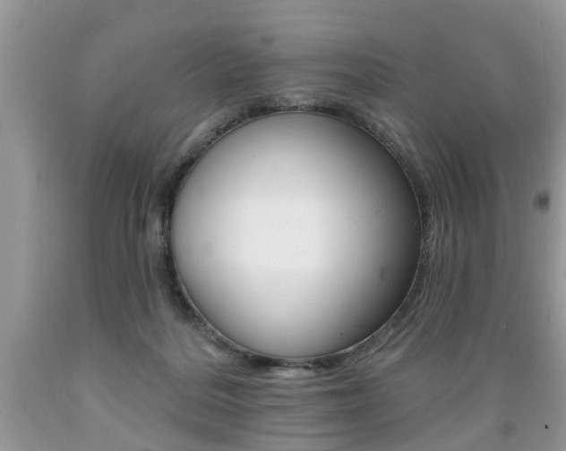 X0000089660220200706210737