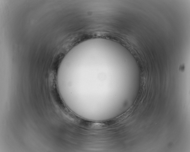 X0000089660222200706210737
