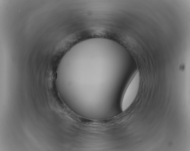 X0000089660223200706210737