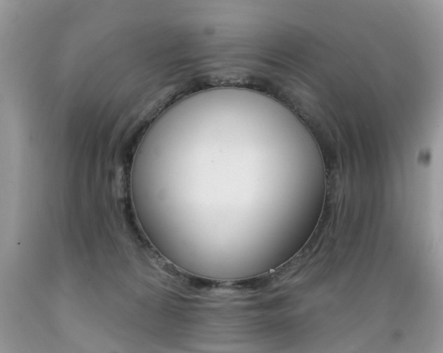 X0000089660224200706210737