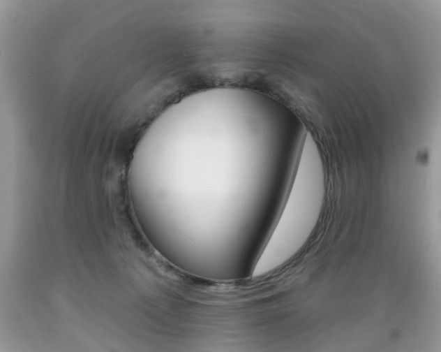 X0000089660225200706210737