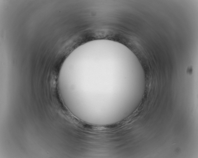 X0000089660226200706210737