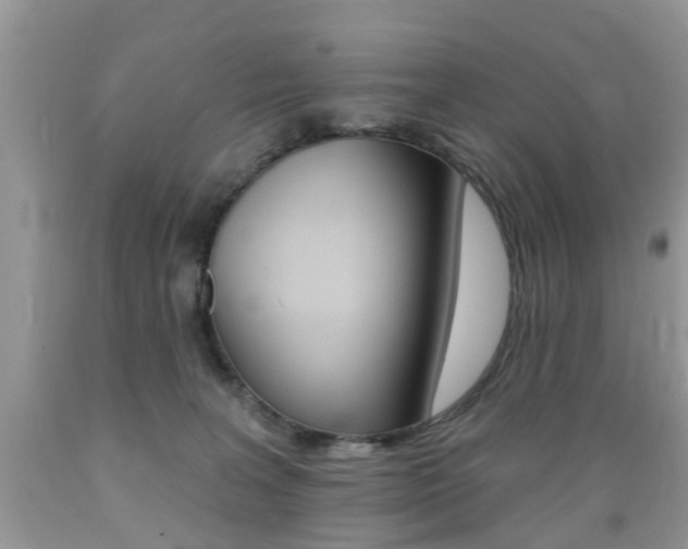 X0000089660227200706210737