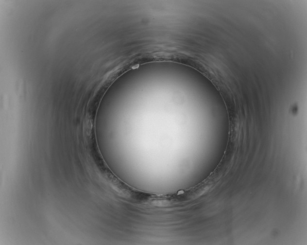 X0000089660228200706210737