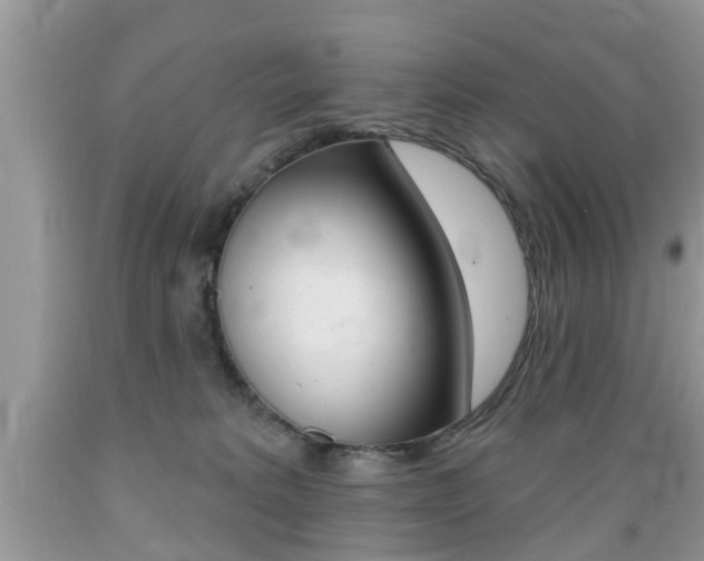 X0000089660229200706210737